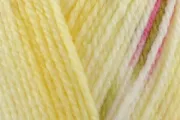 Pretty Primrose 357.jpg (17