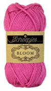 Fuchsia 407