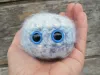 eyes pic.jpg (52